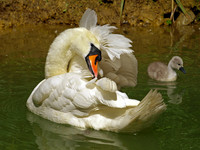 Stratford Park, Stroud: 2008 - 2011