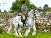 Minchinhampton Show 2017